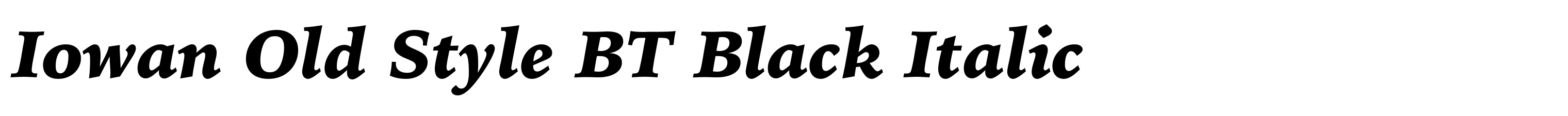 Iowan Old Style BT Black Italic